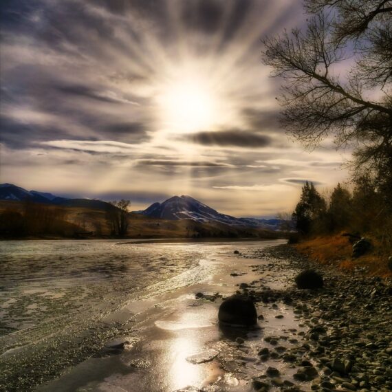 Give Back to Yellowstone