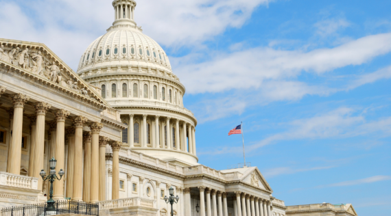 A strong democracy depends on effective, responsible leaders