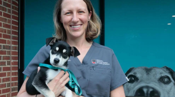 UGA Veterinary School to add mobile vet clinic to assist local shelters