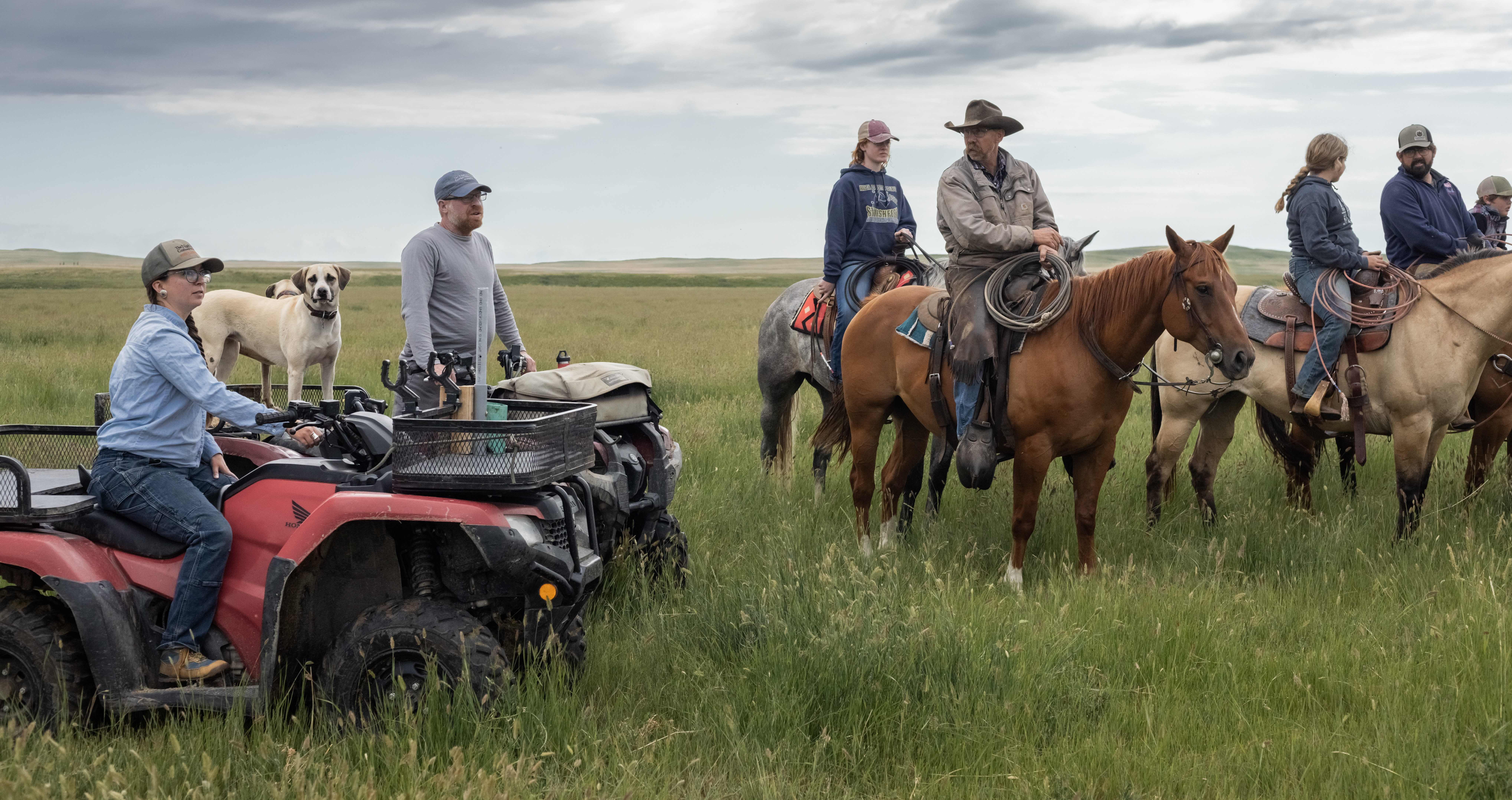 Preserving Montana’s Grasslands: The Nature Conservancy’s Innovative Approach