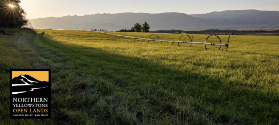 437-Acre Ranch in Paradise Valley’s Mill Creek Drainage Permanently Conserved
