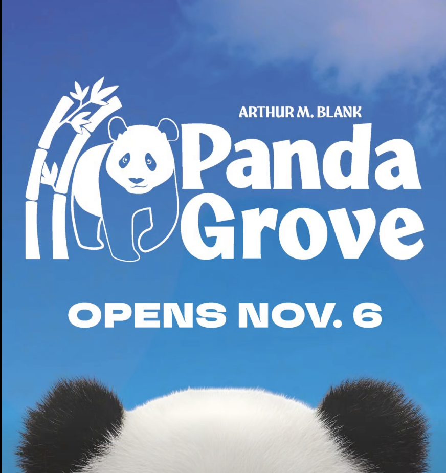 Debut day set for Ping Ping and Fu Shuang in the all-new Arthur M. Blank Panda Grove
